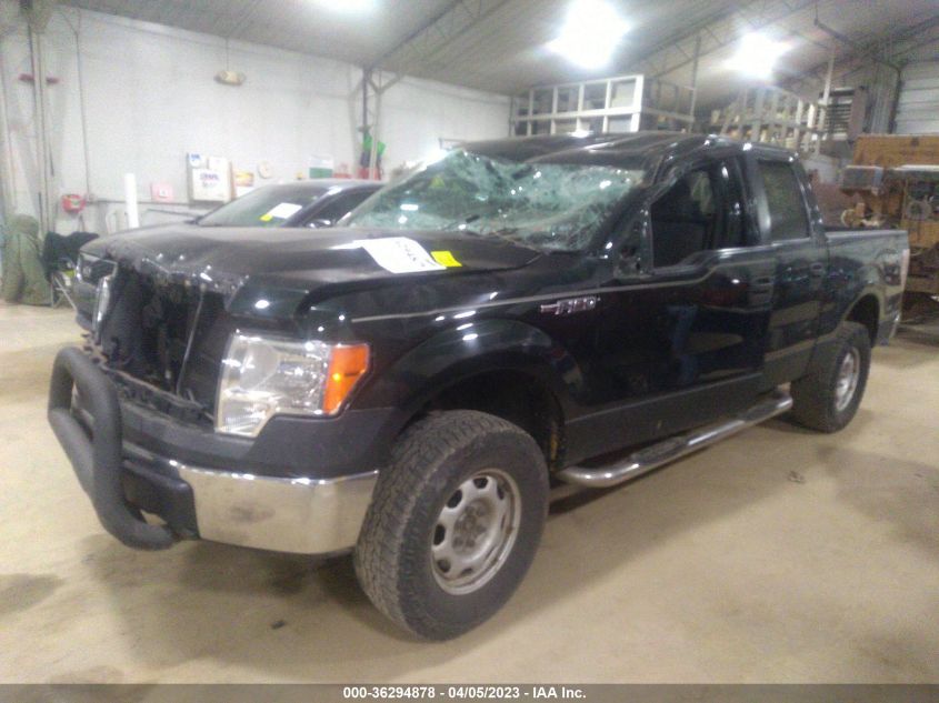 2013 FORD F-150 XL/XLT/FX4/LARIAT - 1FTFW1EF6DFA13513
