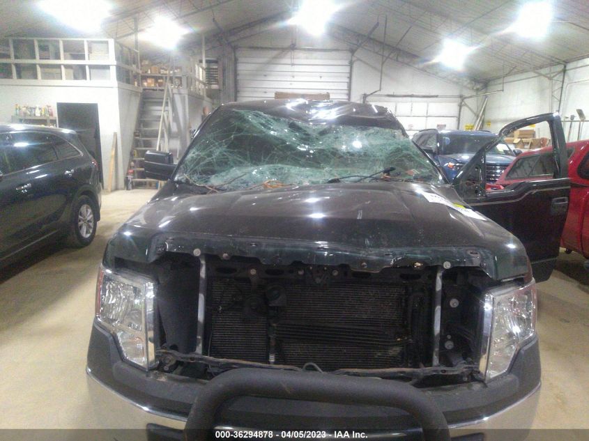 2013 FORD F-150 XL/XLT/FX4/LARIAT - 1FTFW1EF6DFA13513