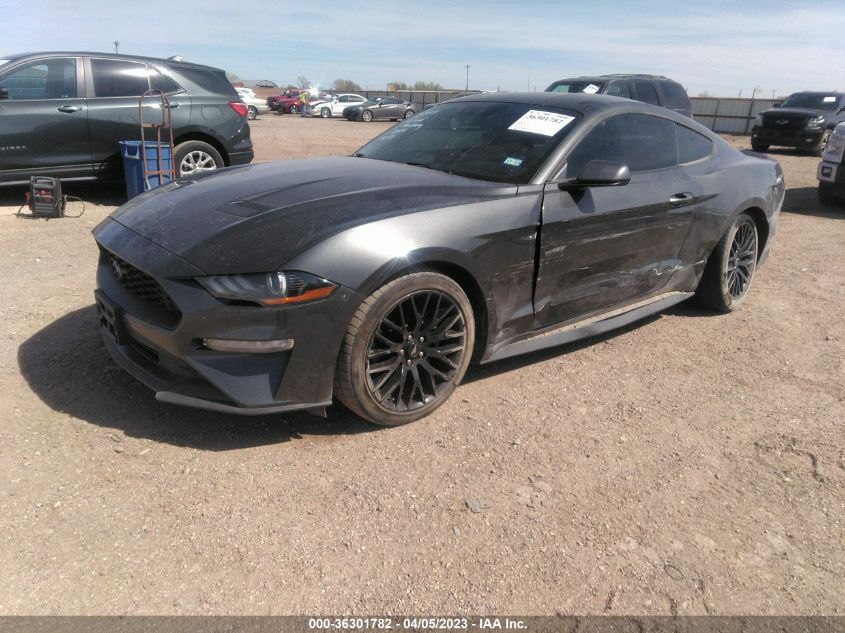 2019 FORD MUSTANG ECOBOOST - 1FA6P8TH7K5202044