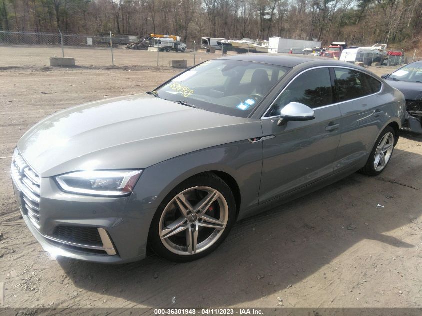 2019 AUDI S5 SPORTBACK PREMIUM PLUS WAUB4DF51KA028343