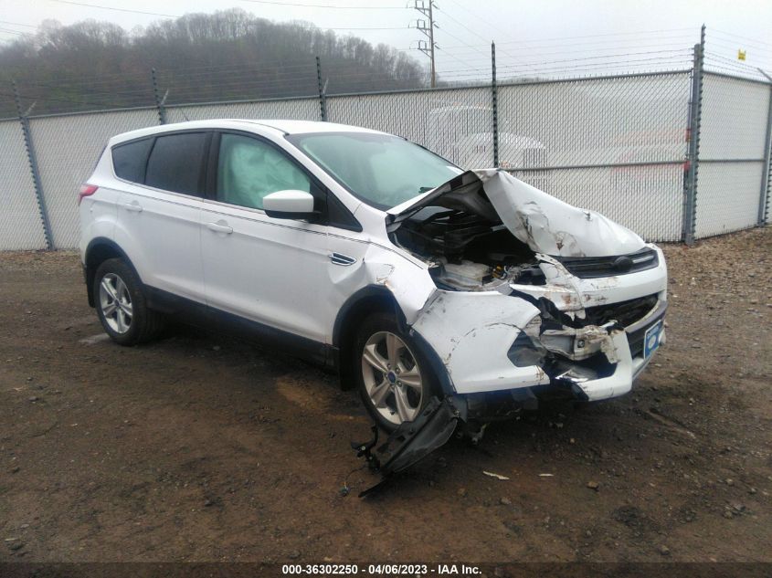 2014 FORD ESCAPE SE - 1FMCU9GX7EUE09455