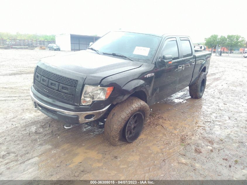 2013 FORD F-150 XL/XLT/FX4/LARIAT - 1FTFW1EF8DKD99603