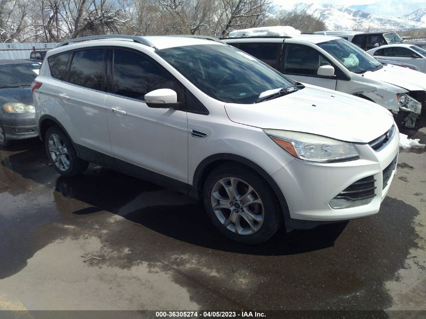 2014 FORD ESCAPE TITANIUM - 1FMCU0JX1EUC46726