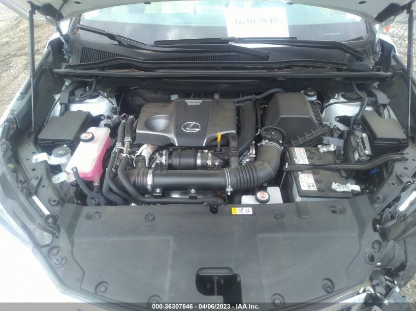 2021 LEXUS NX NX 300 - JTJDARBZ1M5030788