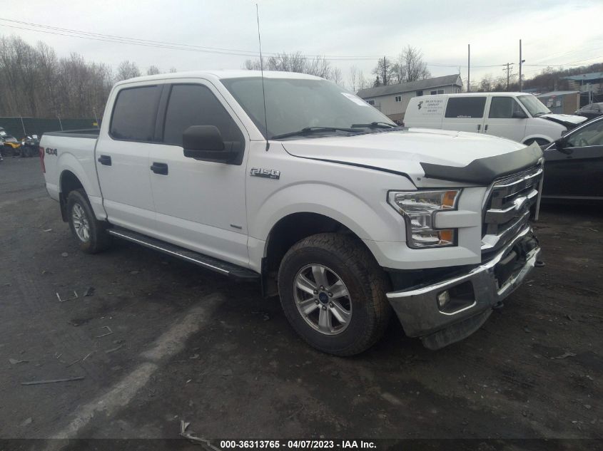 2015 FORD F-150 XLT/XL/LARIAT/PLATINUM - 1FTEW1EG4FFB34709