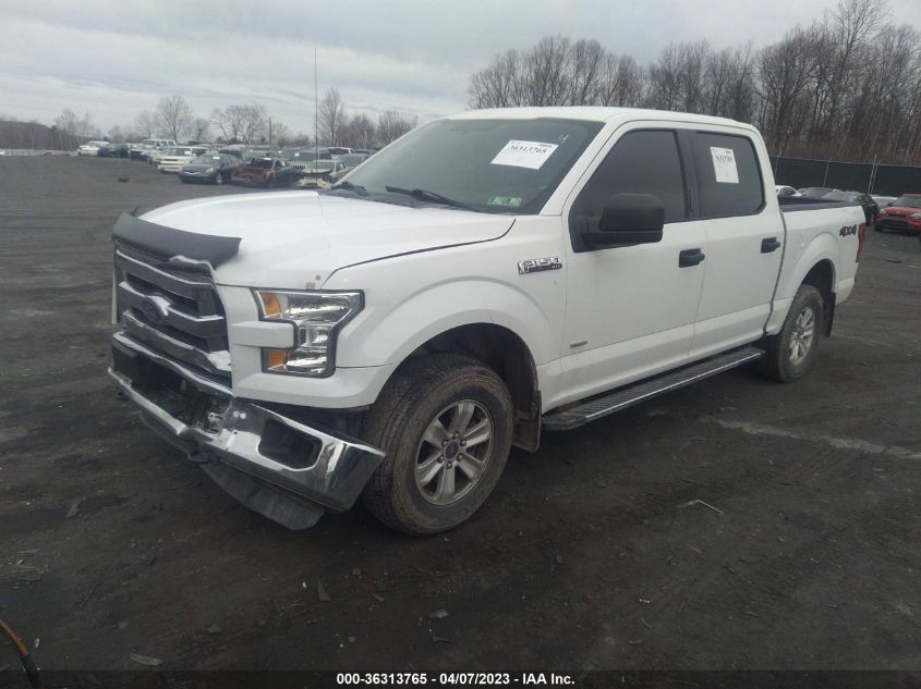 2015 FORD F-150 XLT/XL/LARIAT/PLATINUM - 1FTEW1EG4FFB34709