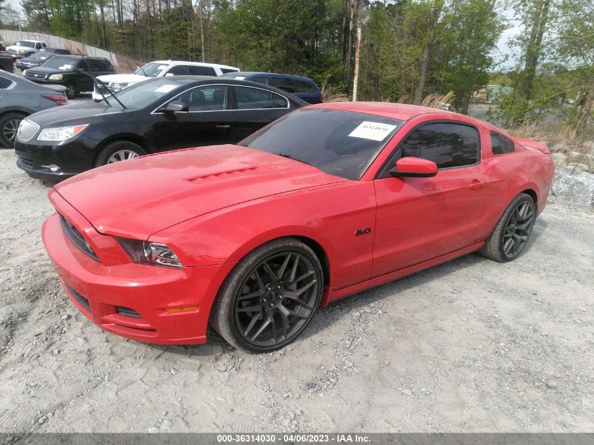 2013 FORD MUSTANG GT - 1ZVBP8CF2D5250722
