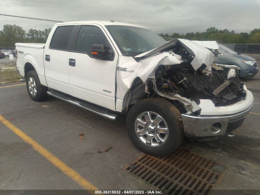 2013 FORD F-150 XL/XLT/FX4/LARIAT - 1FTFW1ET4DKF57053