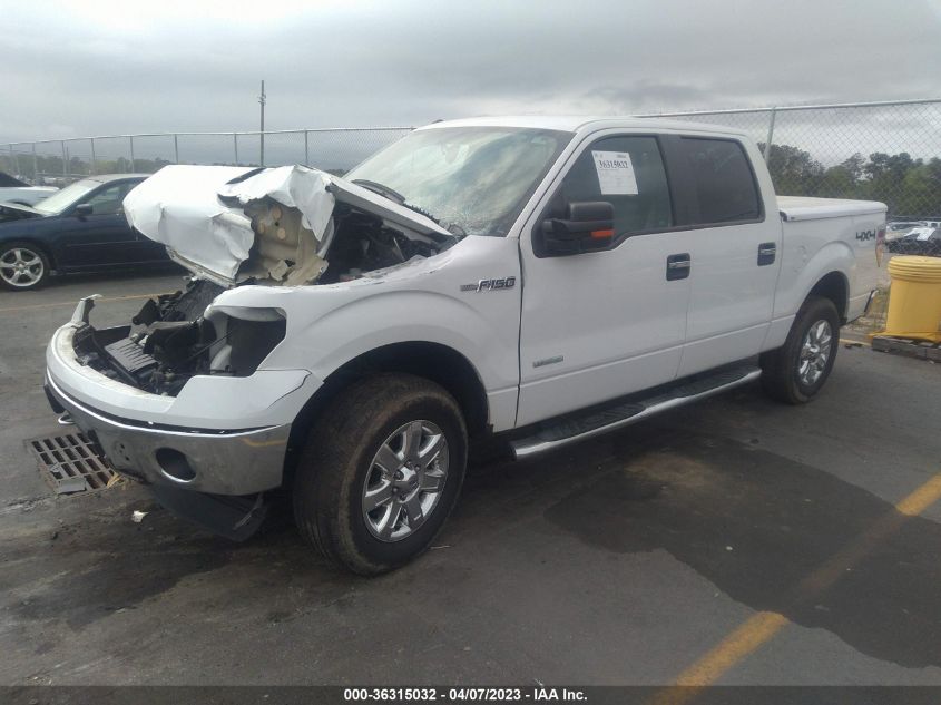 2013 FORD F-150 XL/XLT/FX4/LARIAT - 1FTFW1ET4DKF57053
