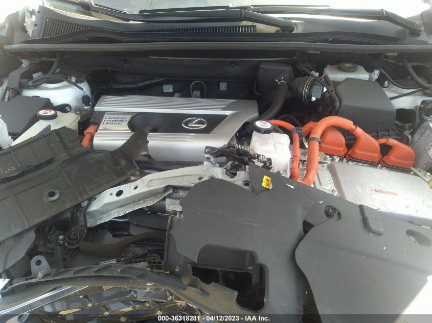 2020 LEXUS NX NX 300H - JTJGJRDZ4L5004758