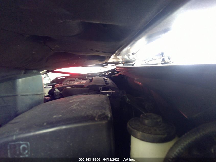 2017 TOYOTA CAMRY XLE/SE/LE/XSE - 4T1BF1FK0HU439706