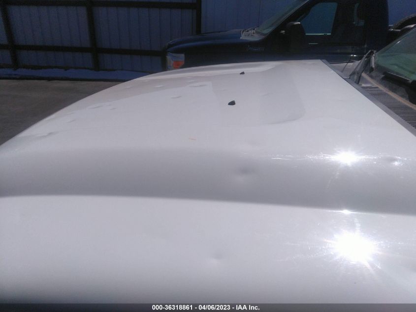 2013 FORD SUPER DUTY F-250 SRW XL/XLT - 1FDBF2A66DEB79896