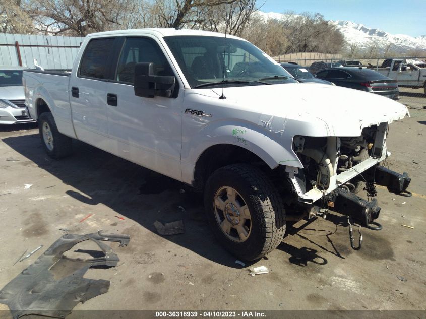 2014 FORD F-150 XL/XLT/STX/FX4/LARIAT - 1FTFW1EF3EKG25841