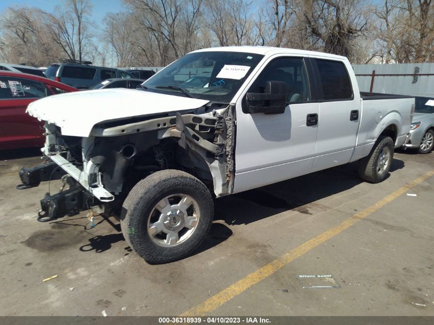 2014 FORD F-150 XL/XLT/STX/FX4/LARIAT - 1FTFW1EF3EKG25841