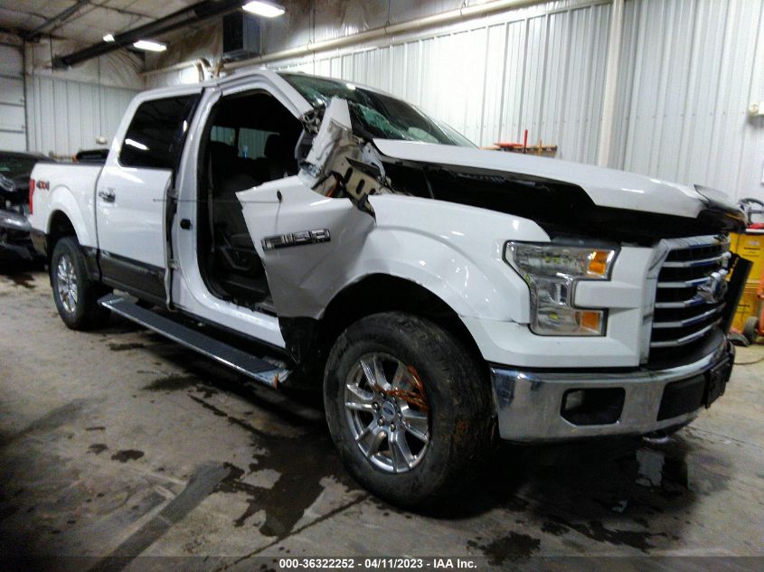 2015 FORD F-150 XLT/XL/LARIAT/PLATINUM - 1FTEW1EG2FKE11557