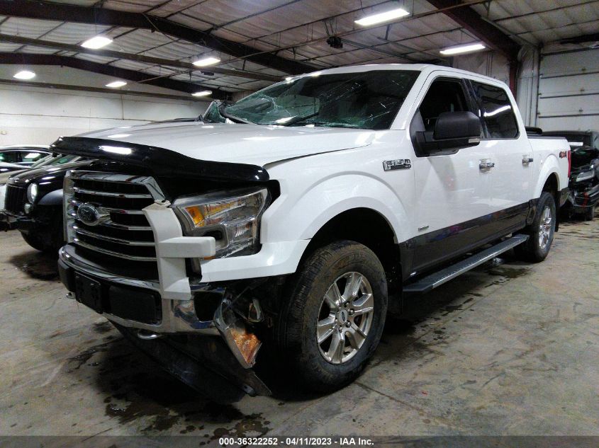 2015 FORD F-150 XLT/XL/LARIAT/PLATINUM - 1FTEW1EG2FKE11557