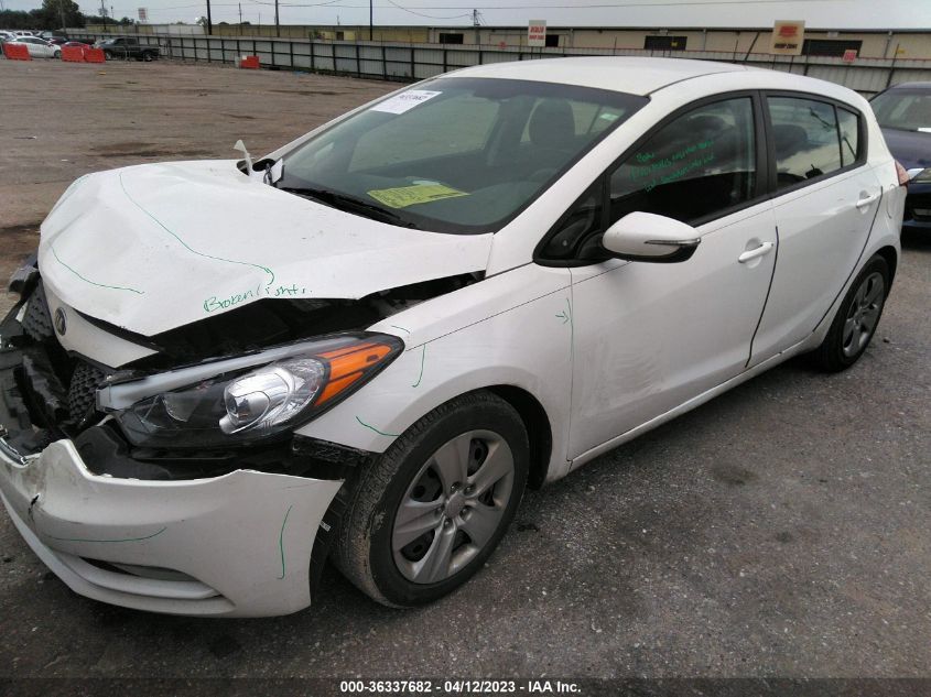 2016 KIA FORTE 5-DOOR LX - KNAFK5A80G5527150