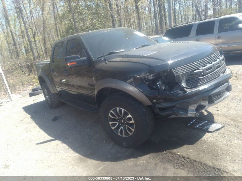 2013 FORD F-150 SVT RAPTOR - 1FTFW1R68DFC02982