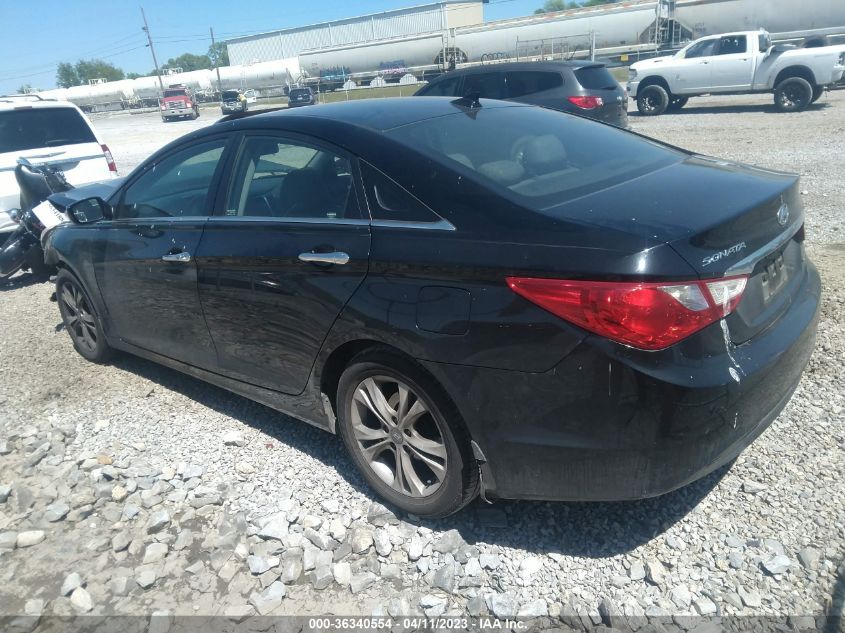 2013 HYUNDAI SONATA LIMITED - 5NPEC4AC1DH655807