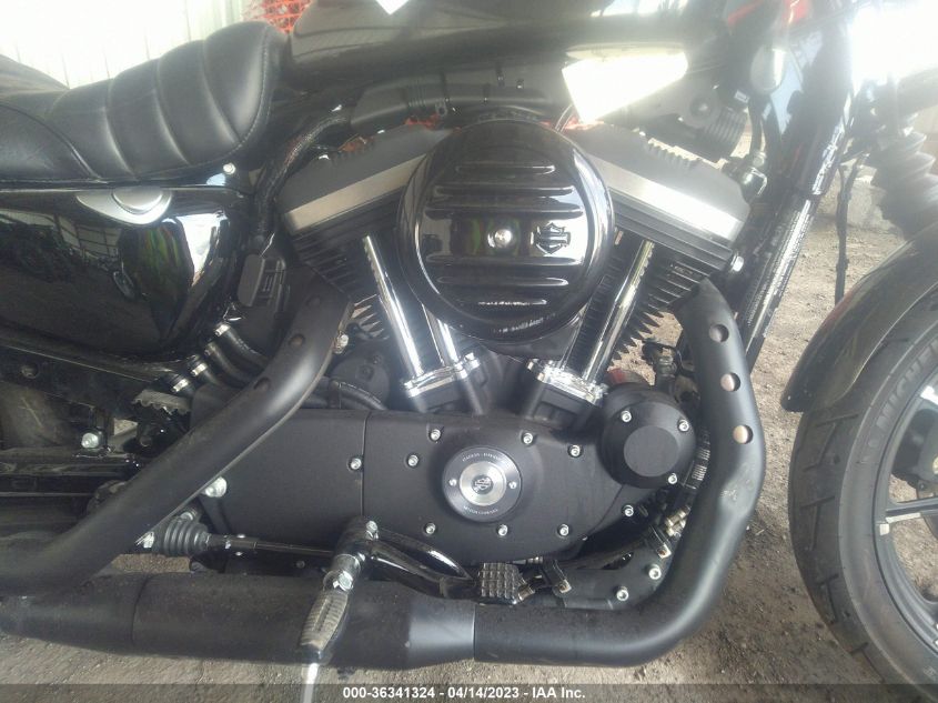 2019 HARLEY-DAVIDSON XL883 N - 1HD4LE212KC420824