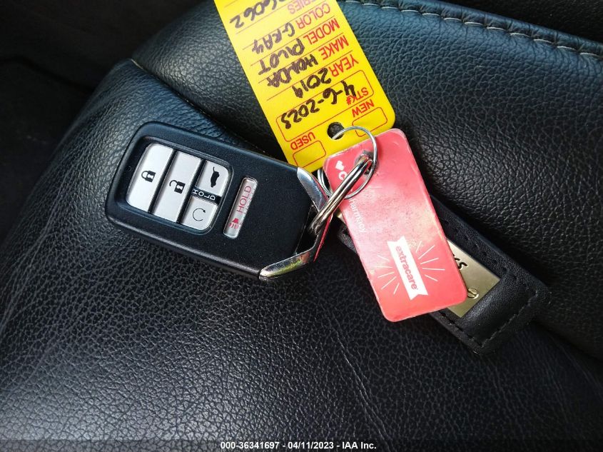 2019 HONDA PILOT EX-L W/NAVI & RES - 5FNYF6H47KB026062