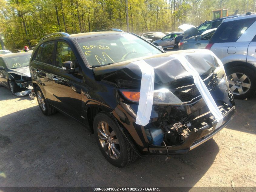 2013 KIA SORENTO SX - 5XYKWDA2XDG384206