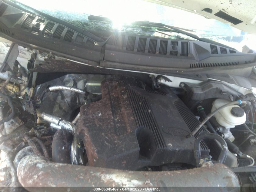 2019 FORD F-150 XL/XLT/LARIAT - 1FTEW1E43KKD58402