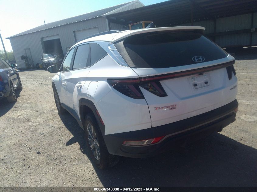 2022 HYUNDAI TUCSON HYBRID BLUE - KM8JBCA16NU020319