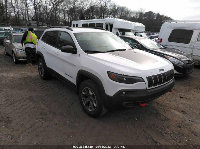 2019 JEEP CHEROKEE TRAILHAWK - 1C4PJMBXXKD442583