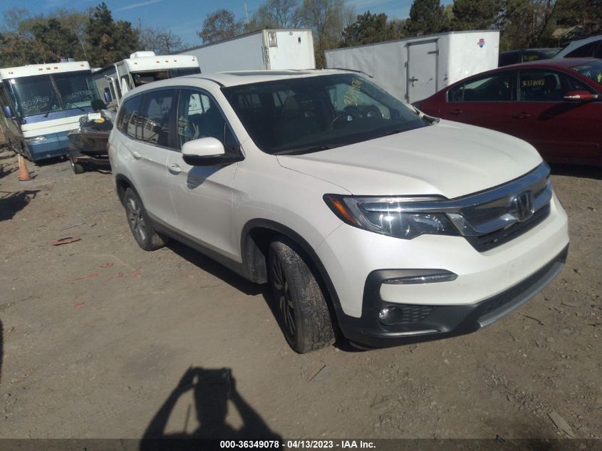 2019 HONDA PILOT EX-L - 5FNYF5H5XKB025992