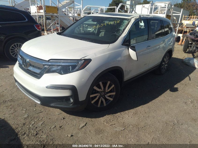 2019 HONDA PILOT EX-L - 5FNYF5H5XKB025992