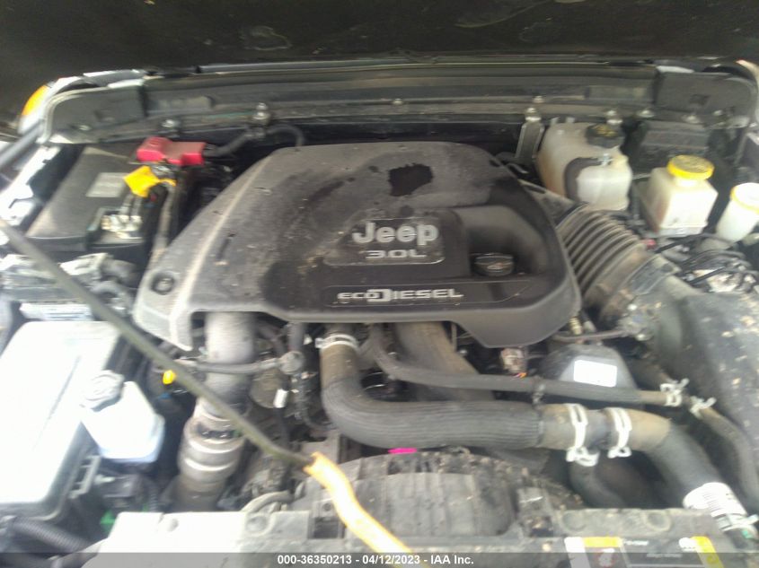 2021 JEEP GLADIATOR WILLYS - 1C6JJTAM9ML613072