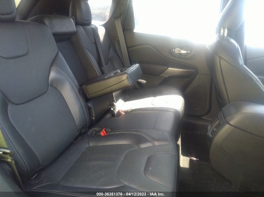2019 JEEP CHEROKEE LIMITED - 1C4PJMDX8KD473134