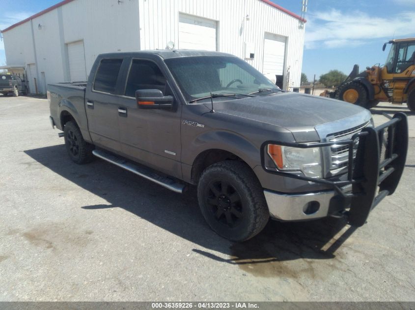 2013 FORD F-150 XL/XLT/FX4/LARIAT - 1FTFW1ET7DFC26850