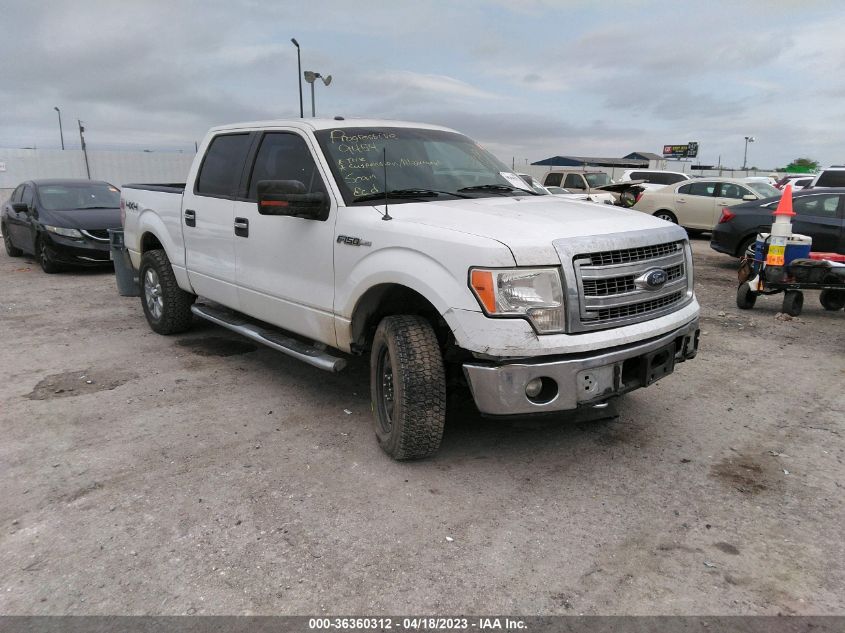 2013 FORD F-150 XL/XLT/FX4/LARIAT - 1FTFW1EF1DKD53434