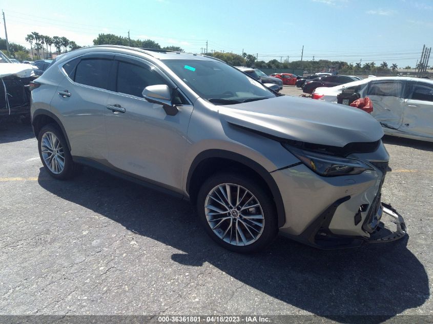 2023 LEXUS NX - 2T2HGCEZ8PC018863