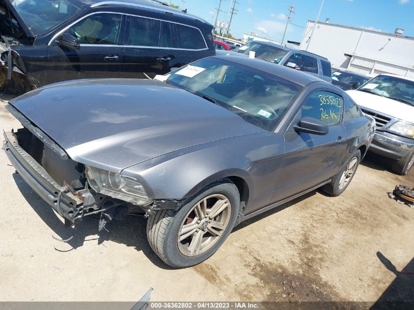 2014 FORD MUSTANG V6 - 1ZVBP8AM7E5264084