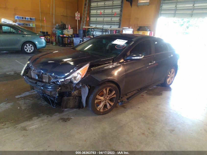 2013 HYUNDAI SONATA LIMITED - 5NPEC4AC5DH641747