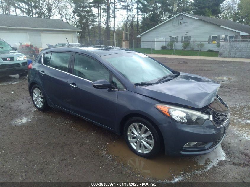 2015 KIA FORTE 5-DOOR EX - KNAFX5A85F5364771