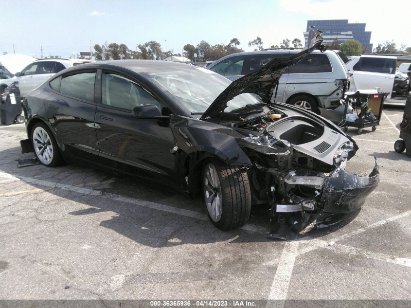 2023 TESLA MODEL 3 - 5YJ3E1EB9PF391580