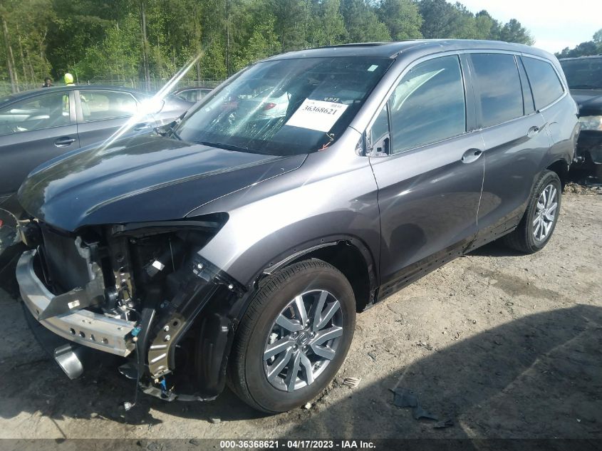 2019 HONDA PILOT EX-L - 5FNYF5H54KB036146