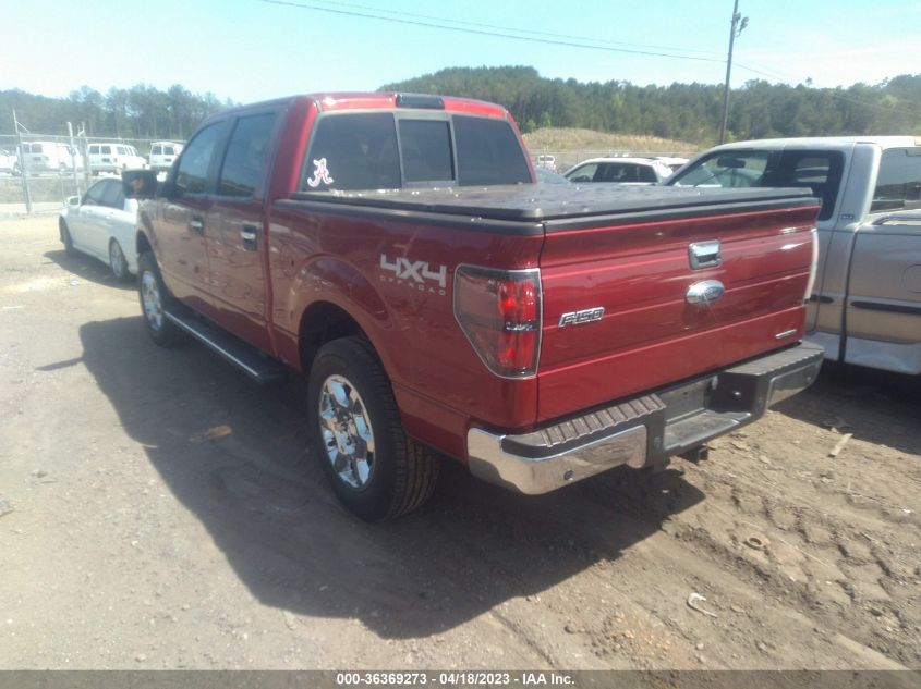 2013 FORD F-150 XL/XLT/FX4/LARIAT - 1FTFW1EF2DFA41812