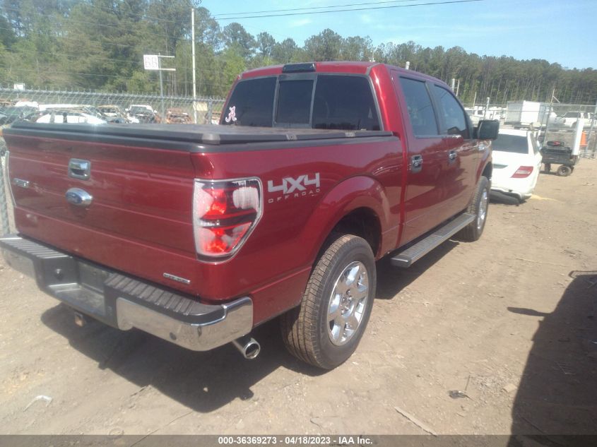 2013 FORD F-150 XL/XLT/FX4/LARIAT - 1FTFW1EF2DFA41812