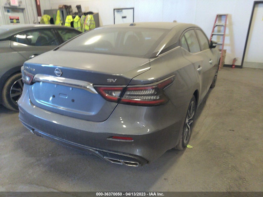 VIN 1N4AA6CV8PC507528 2023 NISSAN MAXIMA SV