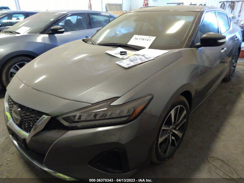 2023 NISSAN MAXIMA SV - 1N4AA6CV8PC507481