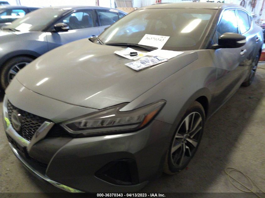 2023 NISSAN MAXIMA SV - 1N4AA6CV8PC507481