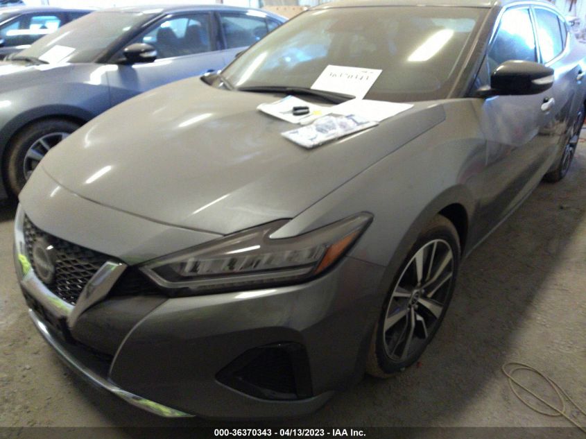 2023 NISSAN MAXIMA SV - 1N4AA6CV8PC507481
