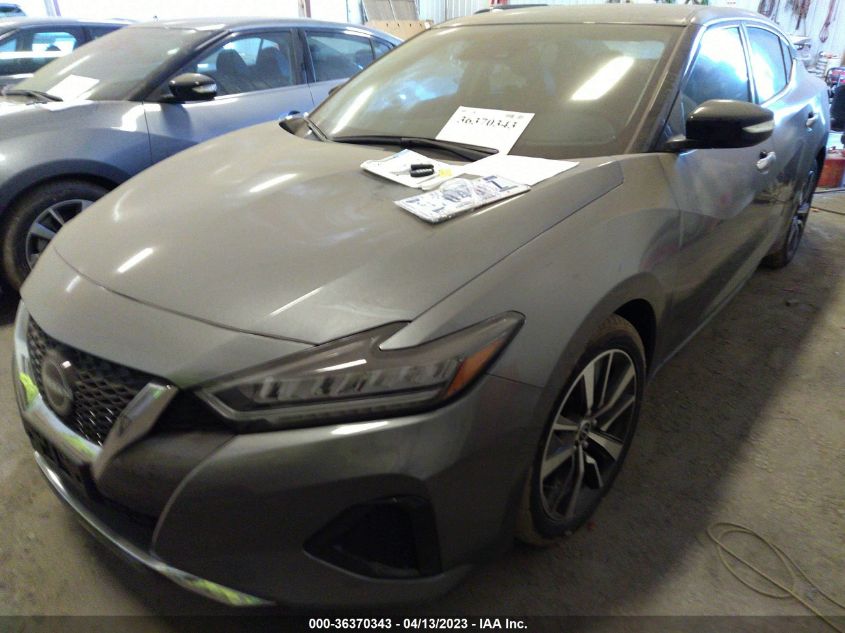 2023 NISSAN MAXIMA SV - 1N4AA6CV8PC507481