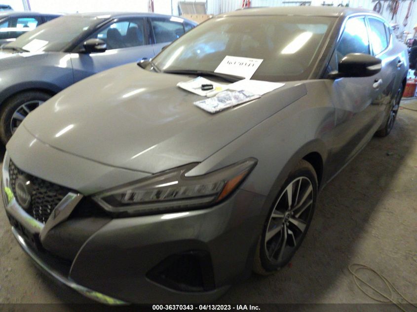 2023 NISSAN MAXIMA SV - 1N4AA6CV8PC507481