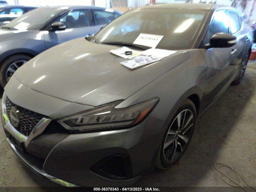 2023 NISSAN MAXIMA SV - 1N4AA6CV8PC507481
